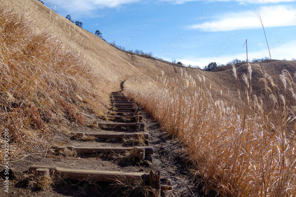 Fototapeta premium 曽爾高原 イメージ