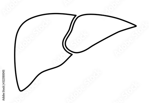 Human internal organs: liver. Vector image. Line art design