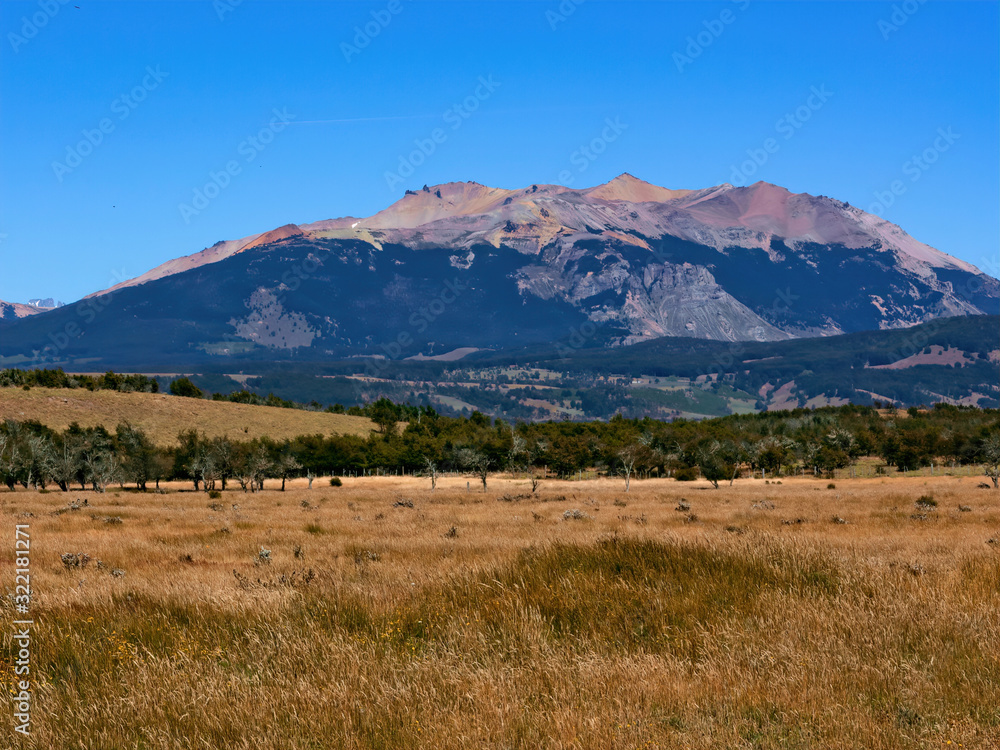 Fototapeta premium Golden