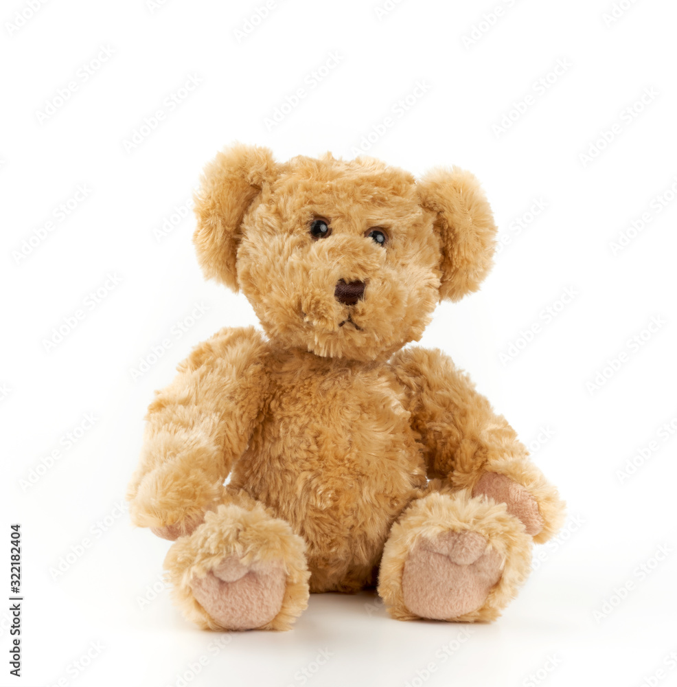 cute light brown fluffy teddy bear sitting on a white isolated background