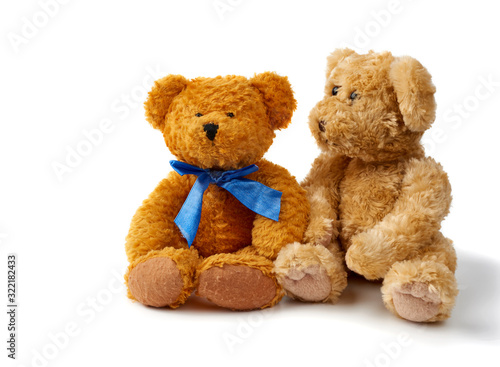 two brown curly teddy bears sit on a white background