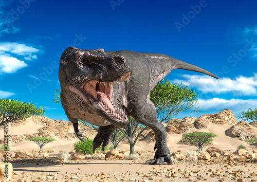 tyrannosaurus alone on desert looking for food
