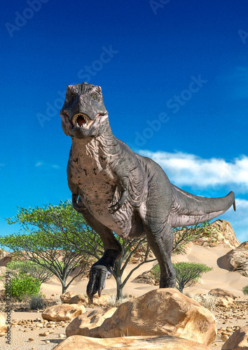 Fototapeta Naklejka Na Ścianę i Meble -  tyrannosaurus passing by and alone on desert