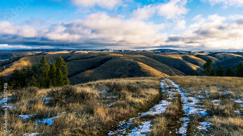 Принти на полотні Old Dirt Road
