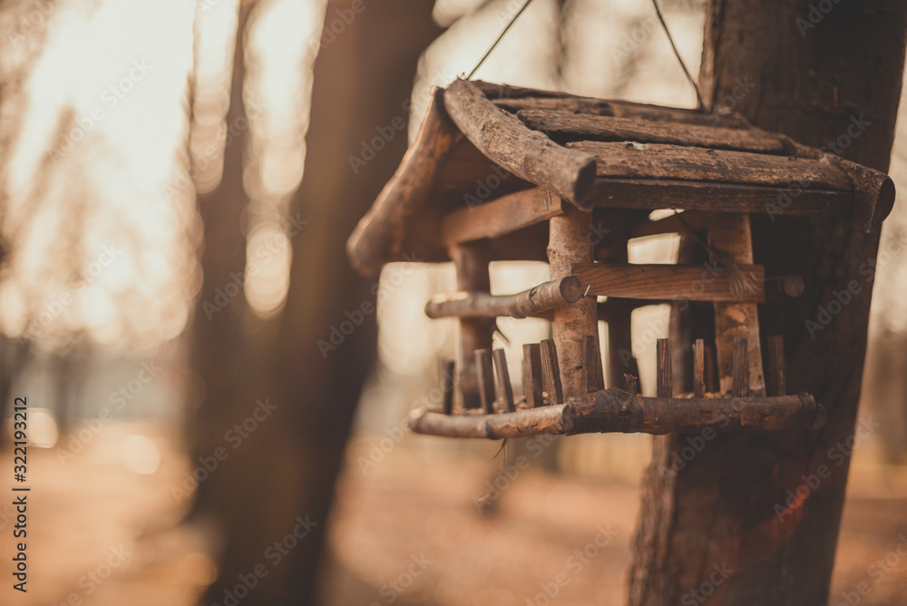 Bird feeders. tree house for the birds, cheerful apartment. Classic forest bird and squirrel feeder as small gabled house on pine tree.