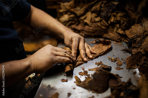 Hands Rolling Cigars
