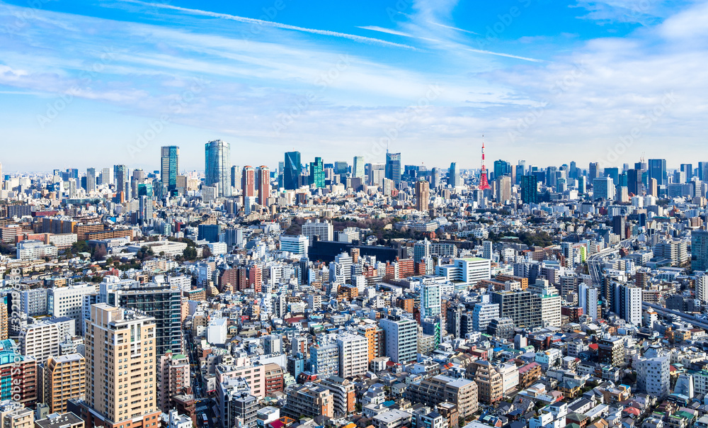 Fototapeta premium Krajobraz miasta Tokio