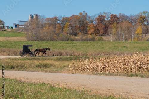 Horse and Buggy traveling country road