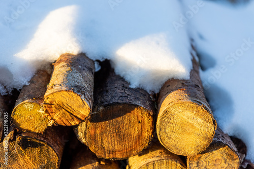 Wallpaper Mural Holzstämme im Schnee Torontodigital.ca