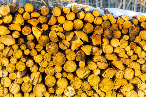 Wallpaper Mural Holzstämme im Winter Torontodigital.ca