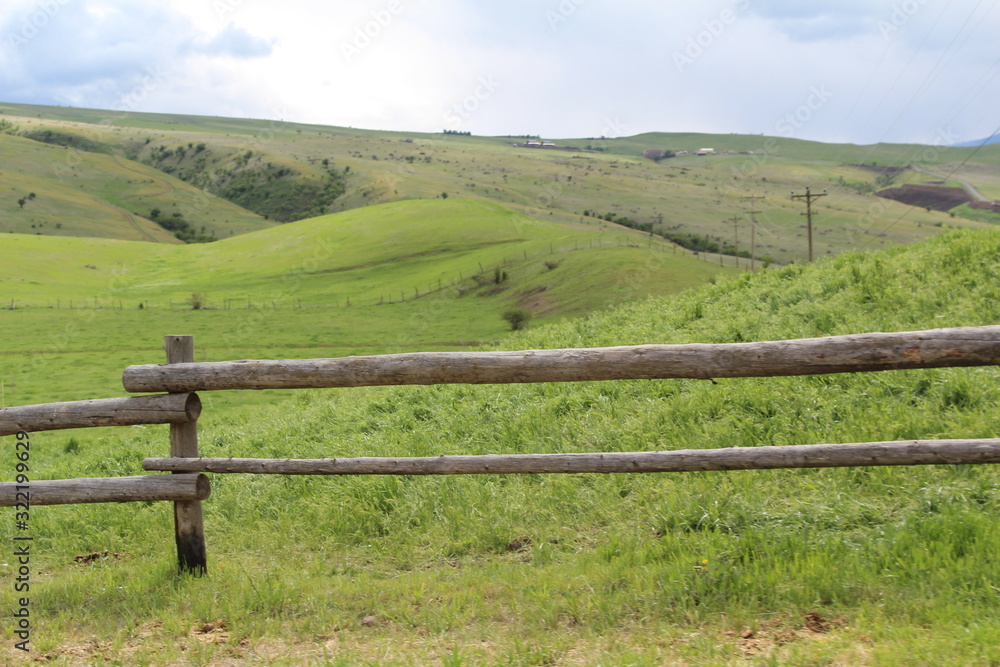 Field Fence