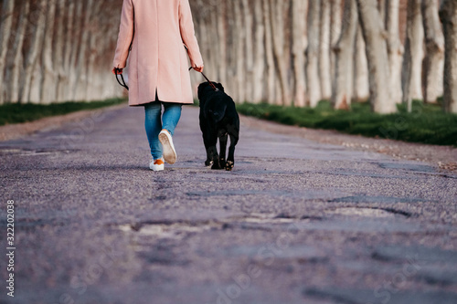 unrecognizable young owner woman and her black labrador dog walking at sunset outdoors