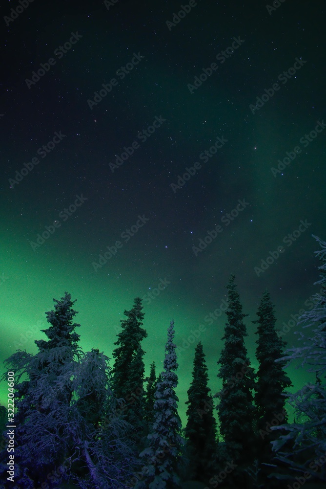 Green Nights Green Nights