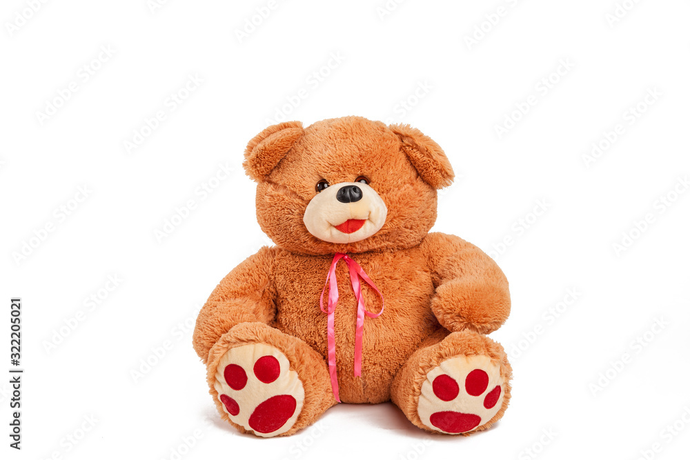 Obraz premium Teddy bear