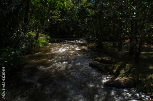 stream in forest