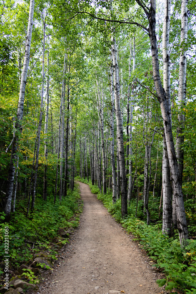 A path in a national park in the Charlevoix region of Quebec, Canada. A path in a national park in the Charlevoix region of Quebec, Canada.