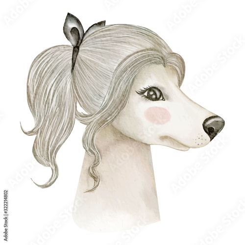cute dog afghan hound with hair curly ribbon