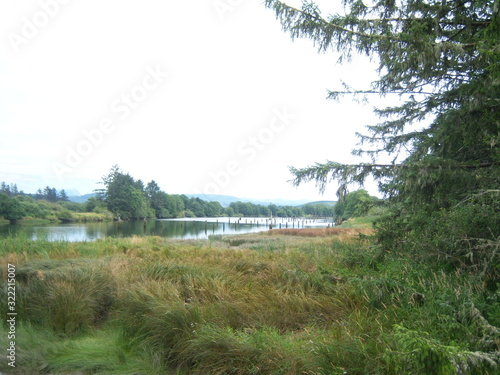 landscape with river and trees