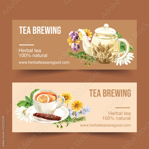 Herbal tea banner design with chamomile, chrysanthemum, rosemary watercolor illustration.