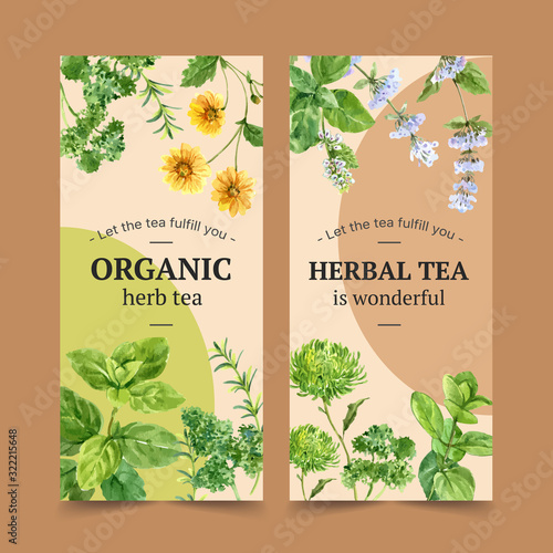 Herbal tea flyer design with savory, parsley, peppermint watercolor illustration.