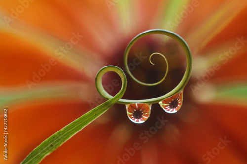 Two Dewdrops