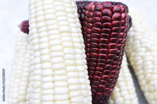 close up corn on aluminum plate background.