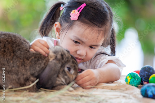 Cute asian child girl touching and playing with cute Holland lop rabbit with love and tenderness at easter festive