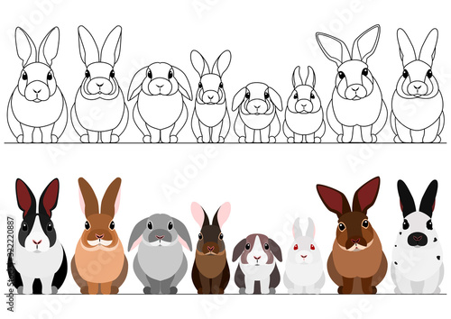 set of rabbits border