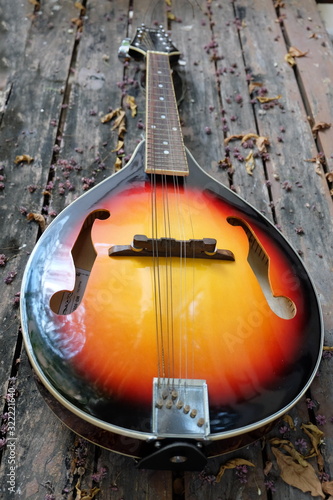 Red-orange mandolin, an ancient Italian instrument Used to play in a classical band