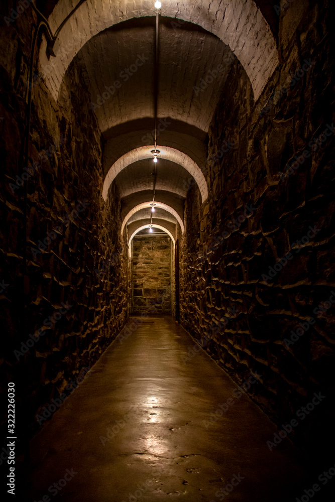 Dim lit stone tunnel in a mansion