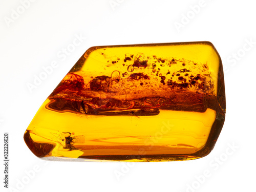 Foto P1010008 Piece of baltic amber with insect inclusions, isolated cECP 2020