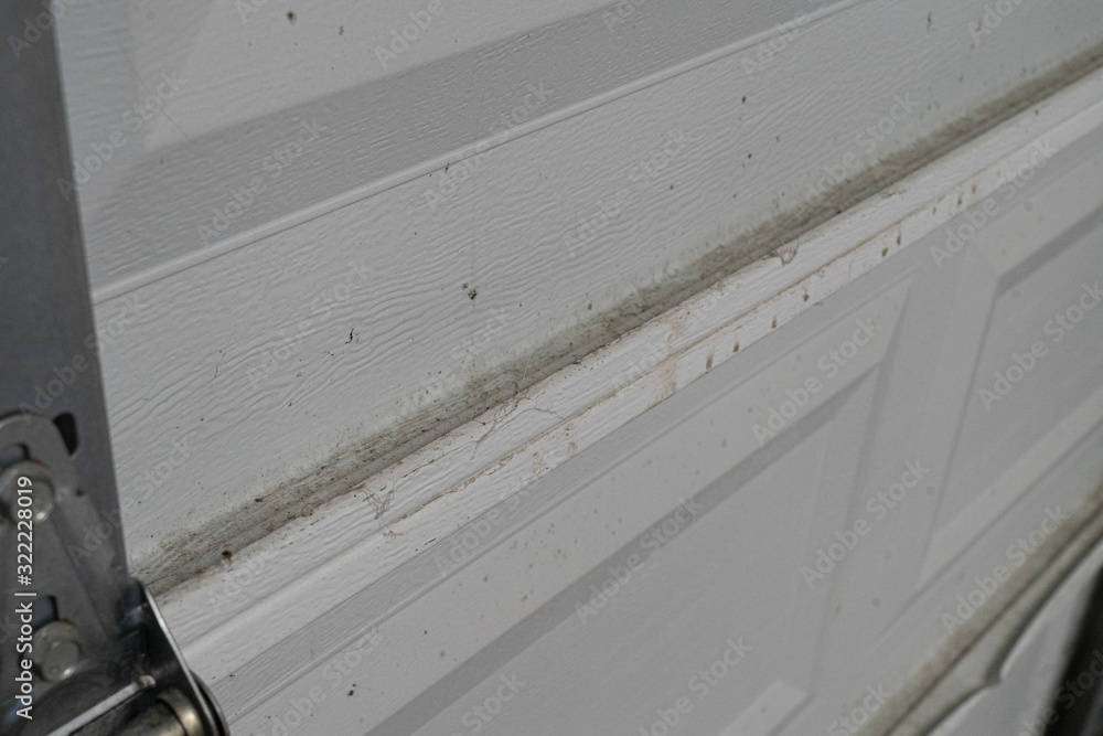 Φωτογραφία Close-up of a dirty residential garage door in need of cleaning.