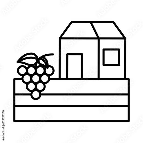 grapes fresh fruits with house building