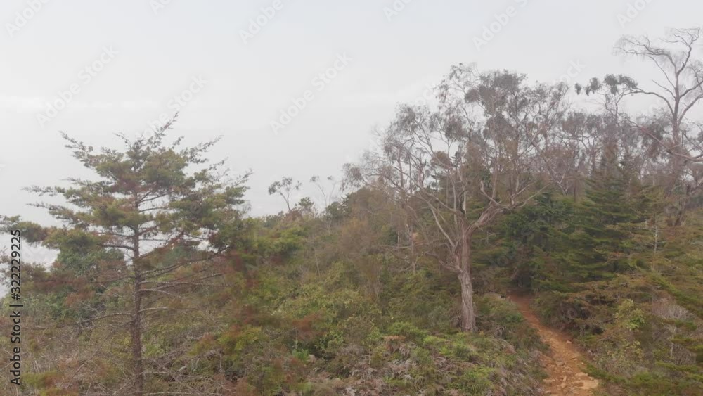 Mountain landscape with fog tree forest, aerial drone Footage flight above the clouds and city view, Medellin - Antioquia - Colombia, 4K 24fps video Mountain landscape with fog tree forest, aerial drone Footage flight above the clouds and city view, Medellin - Antioquia - Colombia, 4K 24fps video