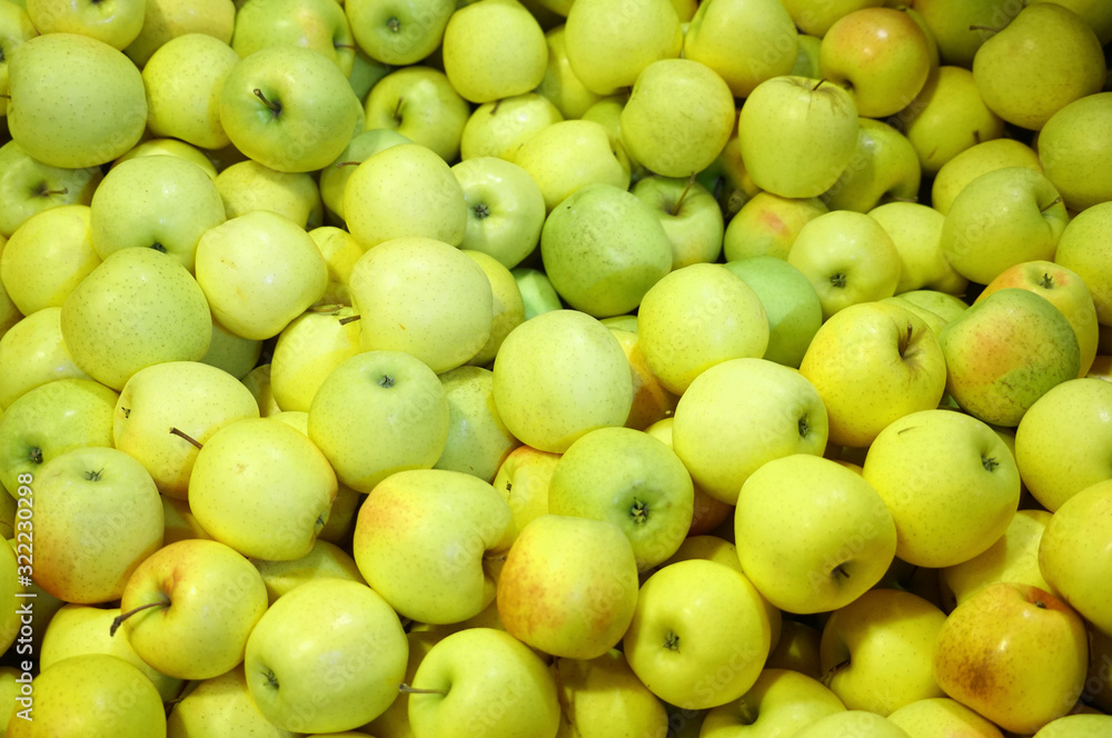Fresh picked green apples background in the harvest season Fresh picked green apples background in the harvest season