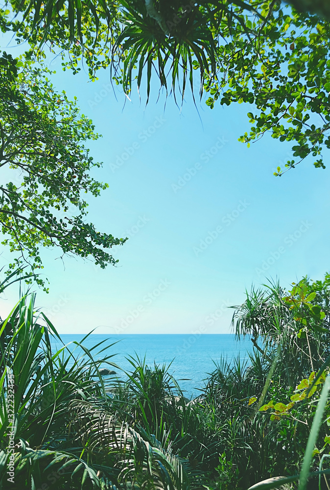 Fototapeta premium Nature frame of exotic green leaves and tropical trees, sea beach background. Bright tropical background with sky and sea. vacation, travel, summer concept