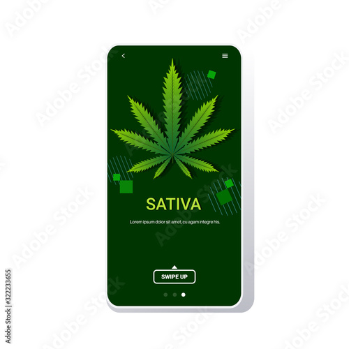 cannabis sativa marijuana leaf drug consumption concept smartphone screen online mobile app flat copy space vector illustration