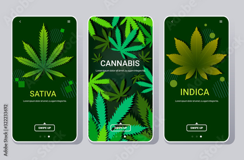 set cannabis sativa indica marijuana leaves drug consumption concept smartphone screens collection online mobile app flat copy space horizontal vector illustration