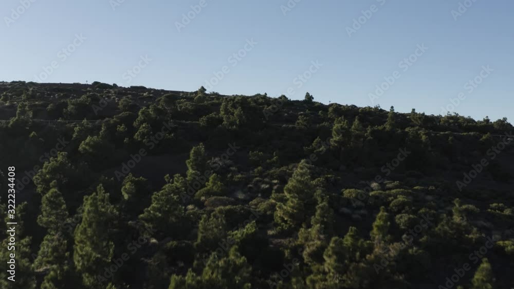 Drone flight over green trees with blue skies in Teide, Tenerife. Tilt and pan. Drone flight over green trees with blue skies in Teide, Tenerife. Tilt and pan.