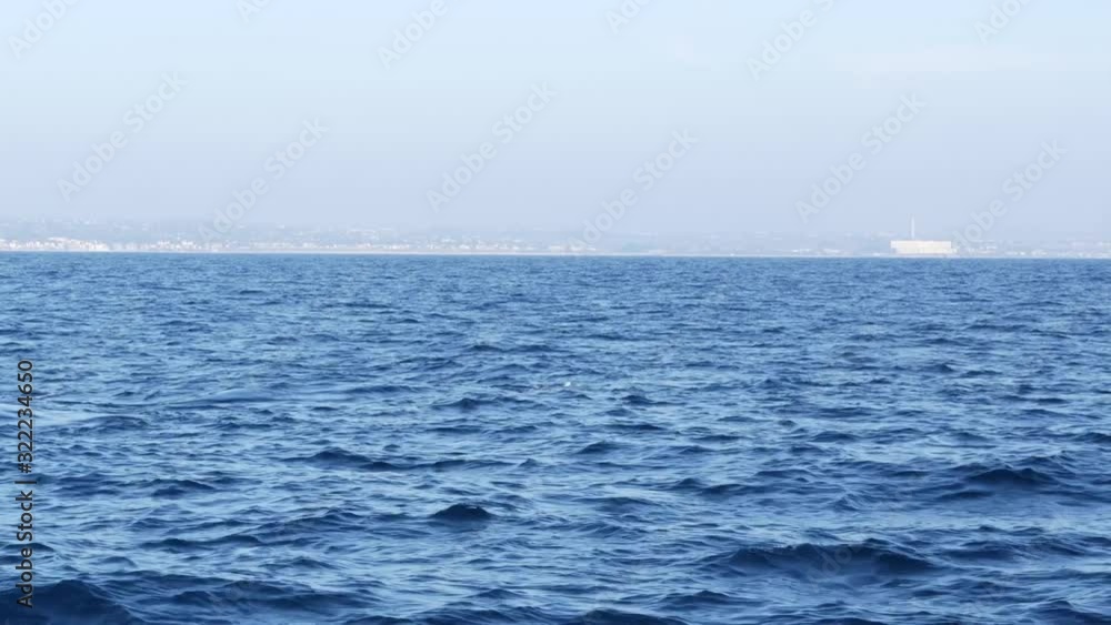 Seascape View from the boat of Grey Whale in Ocean during Whalewatching trip, California, USA. Eschrichtius robustus migrating south to winter birthing lagoon along Pacific coast. Marine wildlife Seascape View from the boat of Grey Whale in Ocean during Whalewatching trip, California, USA. Eschrichtius robustus migrating south to winter birthing lagoon along Pacific coast. Marine wildlife
