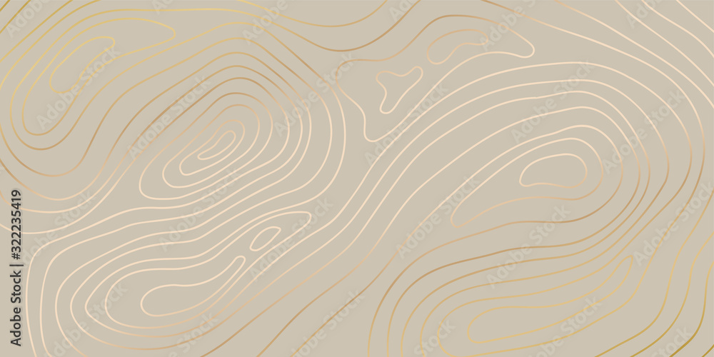 Fototapeta Luksusowy złoty streszczenie tło mapy topograficznej z teksturami złote linie, 17: 9 tapety na tkaniny, opakowania, sieci, geograficzne siatki mapy ilustracji wektorowych.