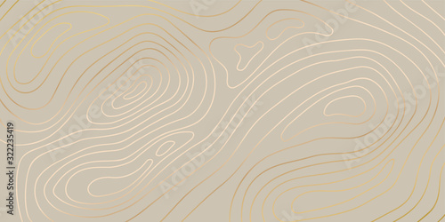 Fototapeta Luksusowy złoty streszczenie tło mapy topograficznej z teksturami złote linie, 17: 9 tapety na tkaniny, opakowania, sieci, geograficzne siatki mapy ilustracji wektorowych.