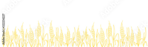 Cereal field. Ears of wheat. Agriculture straw. Orange rye grass. Contour line vector. Copy space. Horizontal banner. Background.