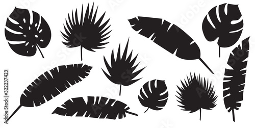 Set of palm leaves silhouettes isolated on white background.