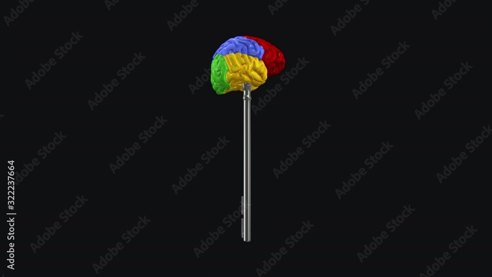 Spinning Magic Skeleton key (IV) of silver metal with colorful model of mapped human brai, related to knowledge, intelligence, innovation, psychology, dream, hypnosis, wisdom, mystic, fantasy. Spinning Magic Skeleton key (IV) of silver metal with colorful model of mapped human brai, related to knowledge, intelligence, innovation, psychology, dream, hypnosis, wisdom, mystic, fantasy.