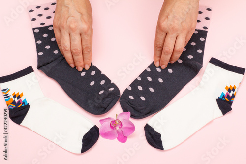 Female hands with pair of women socks on pink background.