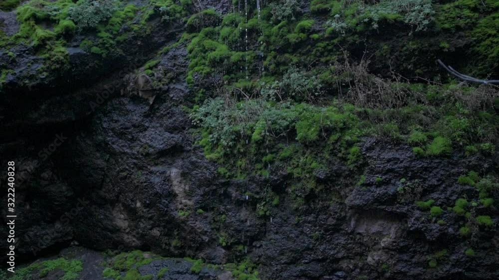 A small water stream pouring over the mossy rock cliff hill in Pinnacles National Park in California - tilt down A small water stream pouring over the mossy rock cliff hill in Pinnacles National Park in California - tilt down