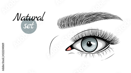 Vector illustration of gray female eye with extended eyelashes and eyebrow. Natural set.