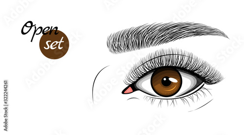 Vector illustration of gray female eye with extended eyelashes and eyebrow. Open eye.