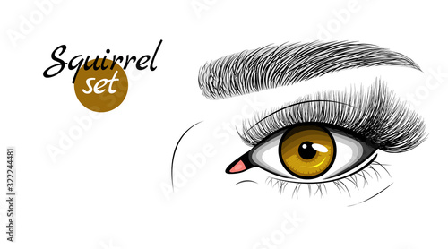 Vector illustration of brown female eye with extended eyelashes and eyebrow. Squirrel effect.